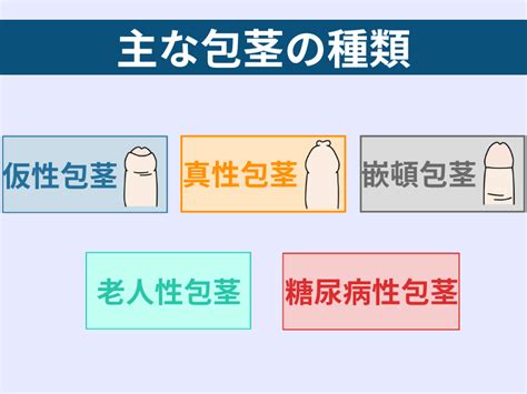 【図解】真性包茎・仮性包茎・カントン包茎。各種類の特徴と違。